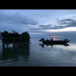 Meet your Posher, Reece